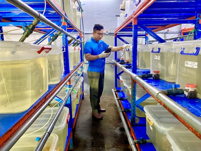Pessoa em um laboratório de testes de camarão