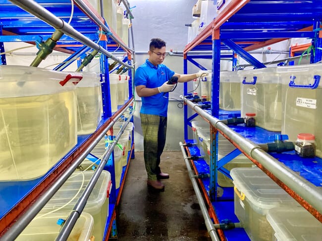 Person in a shrimp testing lab