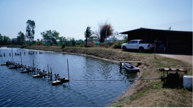 A typical long arm aerator, as favoured by shrimp farmers in Thailand