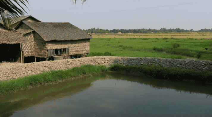 A fish pond in the Ayeyarwady Delta