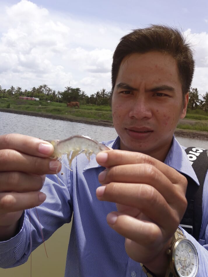 Assessing the performance of shrimp in the Vietnam trial