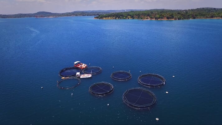 aquaculture cages in the water
