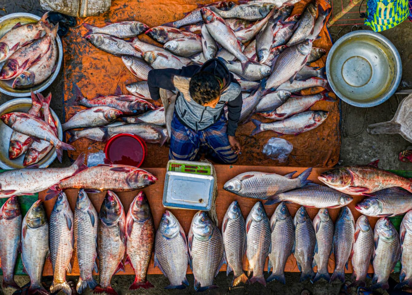 A raw fish market in Bangladesh