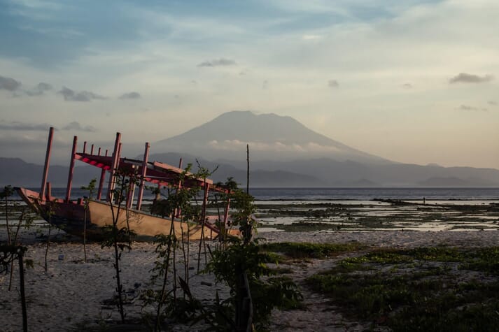 Seaweed in Southern Bali