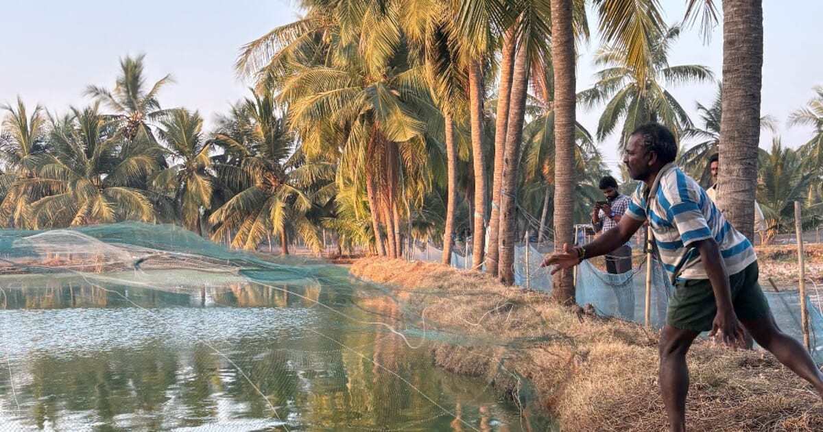 New roadmap launched to scale sustainability in aquaculture | The Fish Site