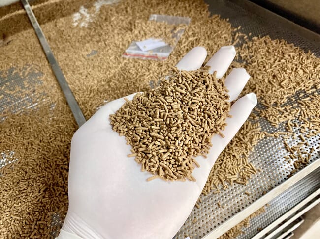 A handful of shrimp feed pellets.
