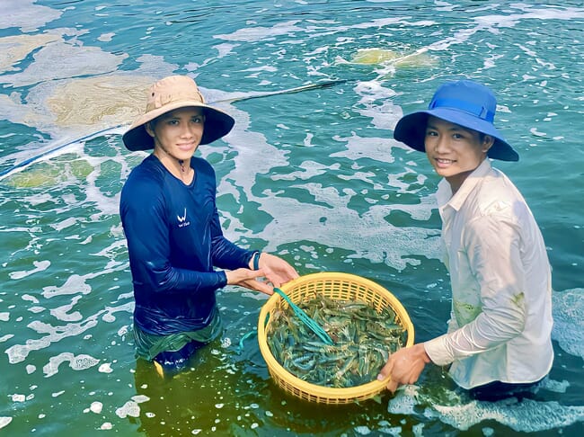 two people in hats holding a basket of shrimp
