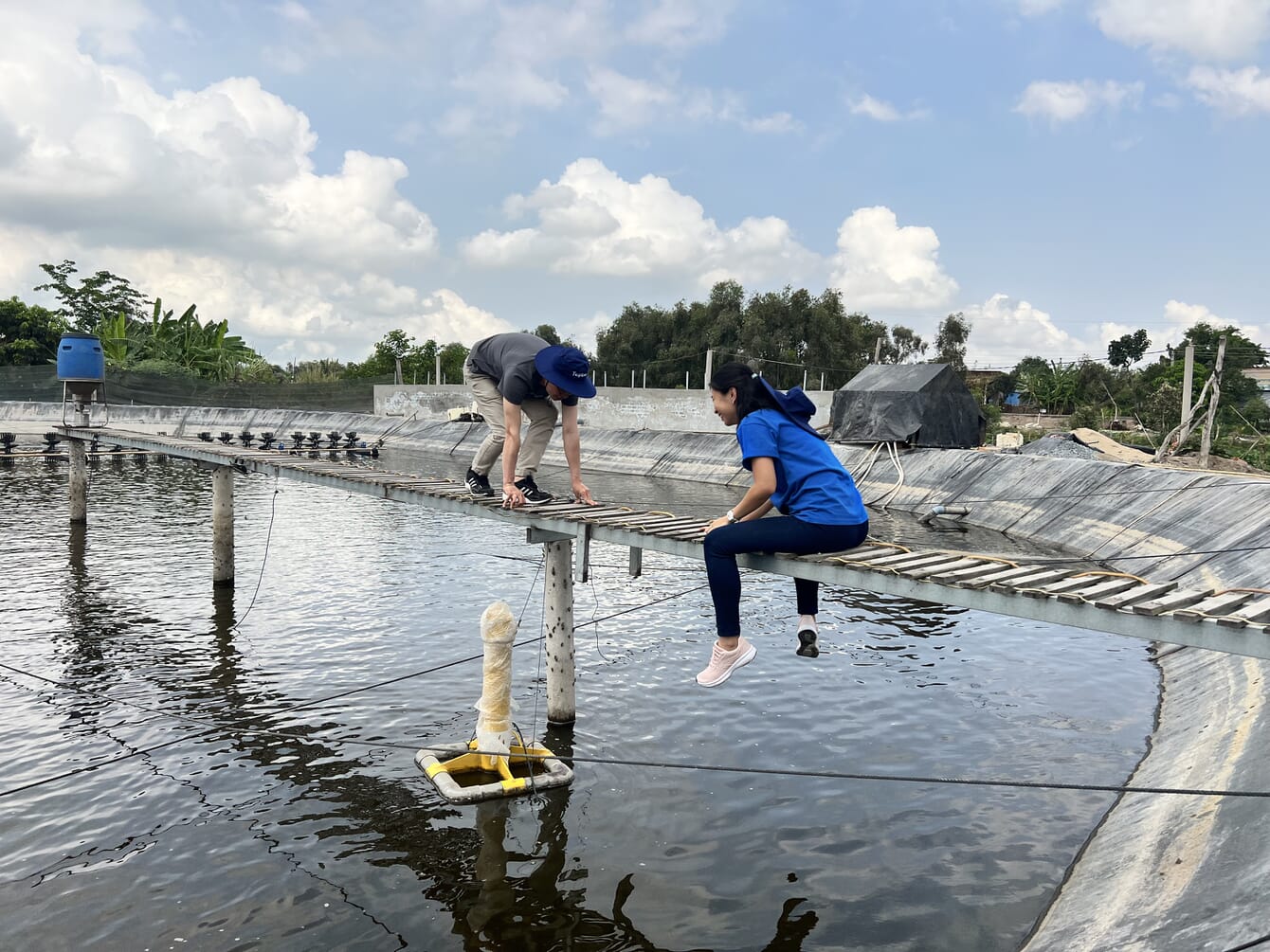 Two people on a bridge over a shrimp pond