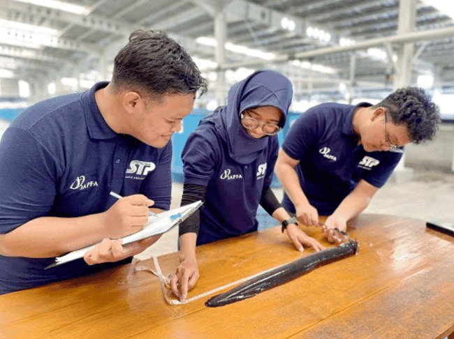 Three people examining an eel on a table.