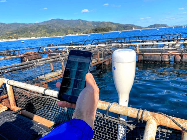 person holding a phone near a sensor