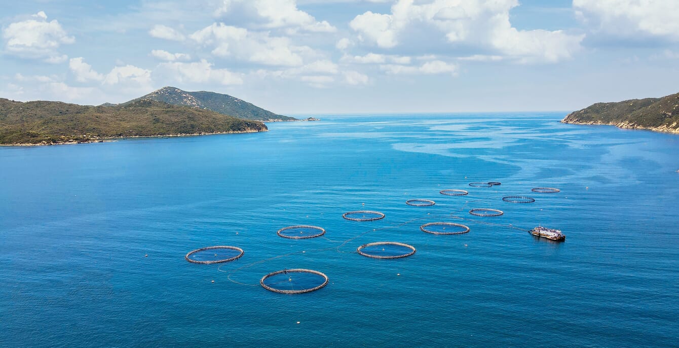 Vista aérea de currais de piscicultura