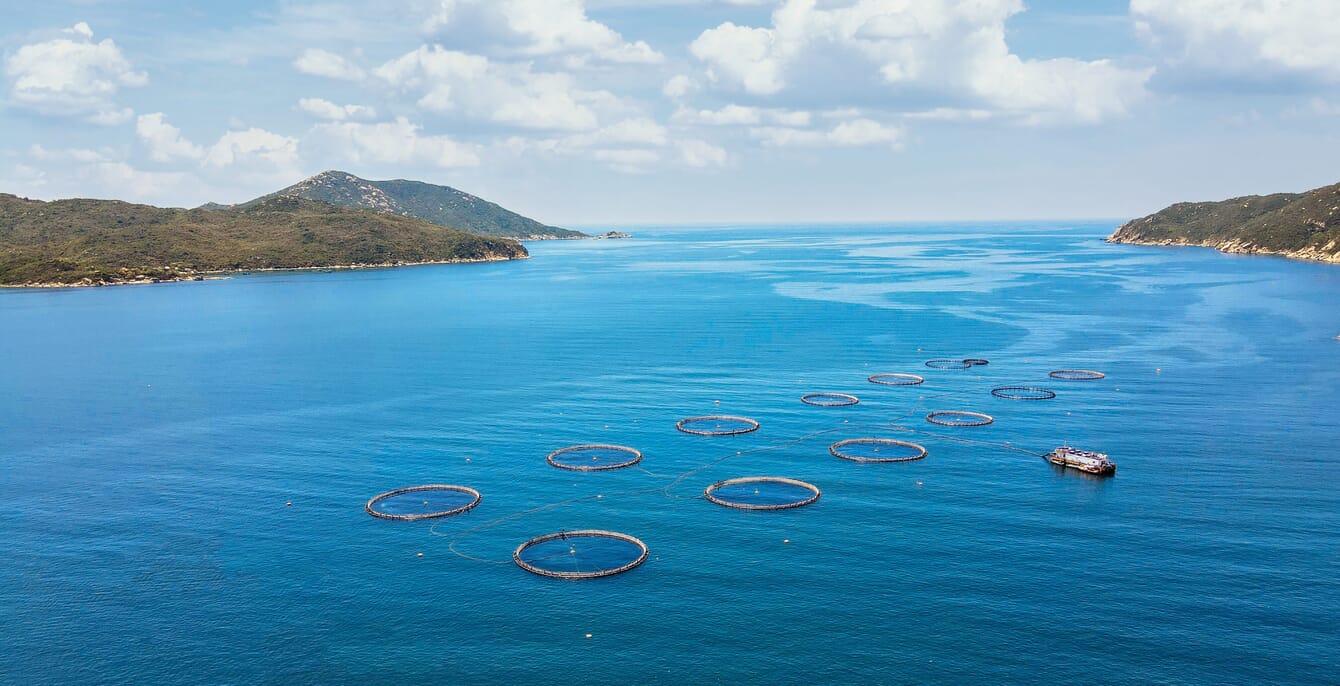 Aerial view of fish farm sea pens