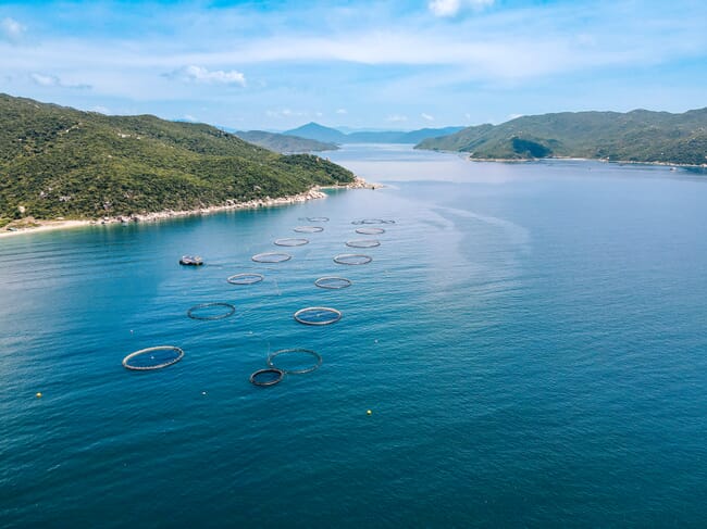 Vista aérea de gaiolas marinhas de piscicultura