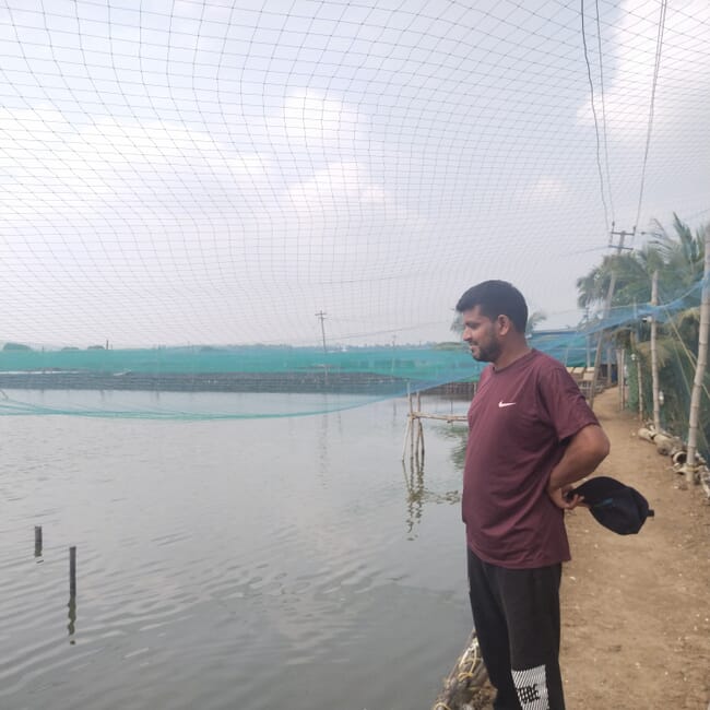 Man looking at a shrimp pond