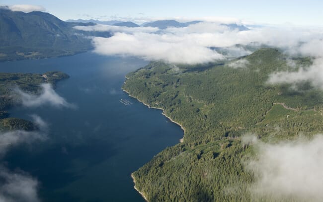 Aerial view of a salmon farm in a coastal inlet.