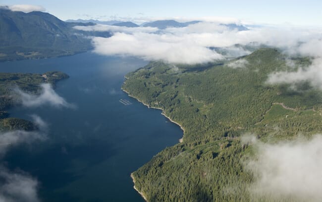 aerial view of a salmon farm