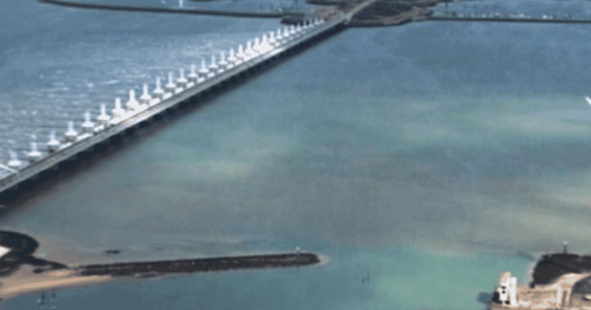 The Black Cod Company lands Dutch farm site | The Fish Site