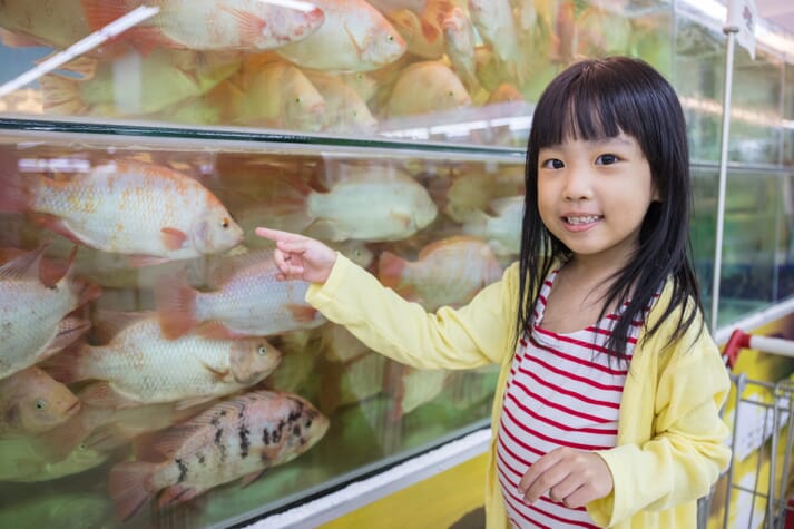 China's cold chain is currently better for live seafood products than for frozen or chilled, but online retailers are improving this.
