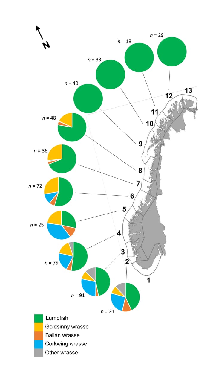 A map showing the use of cleaner fish, by species and region, in Norway
