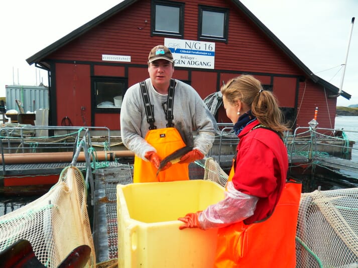 two people standing near a yellow plastic bucket