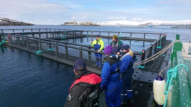 People standing on ocean net pens