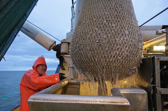 30,000 tonnes of brown shrimp a year will now be MSC certified
