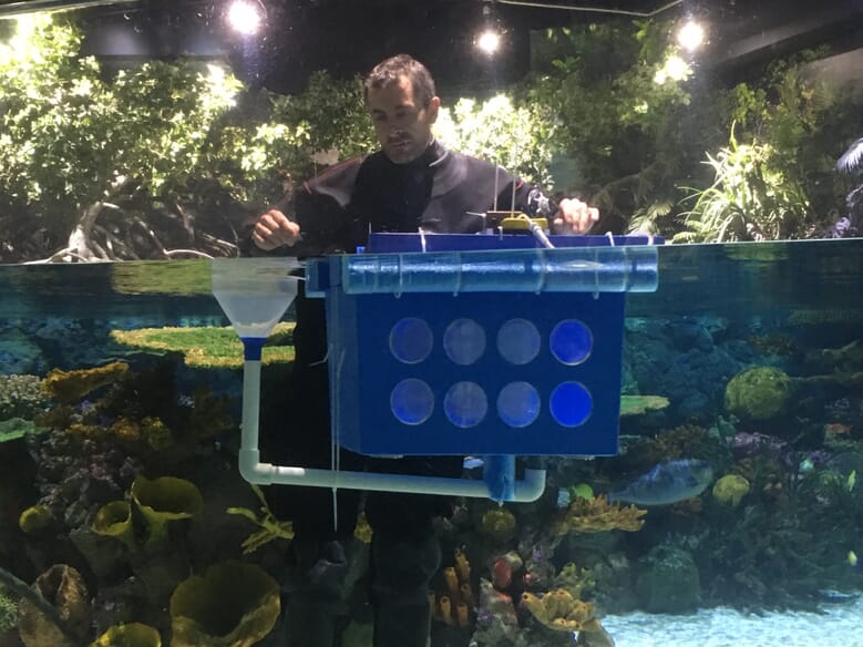 Boost for tropical fish breeders The Fish Site