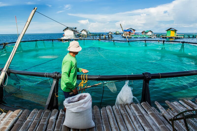 FAO: Aquatic product trade reaches record $184bn