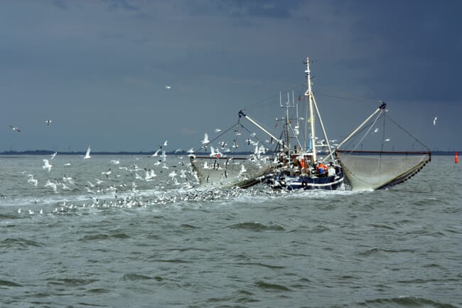 A fishing boat in the North Sea.