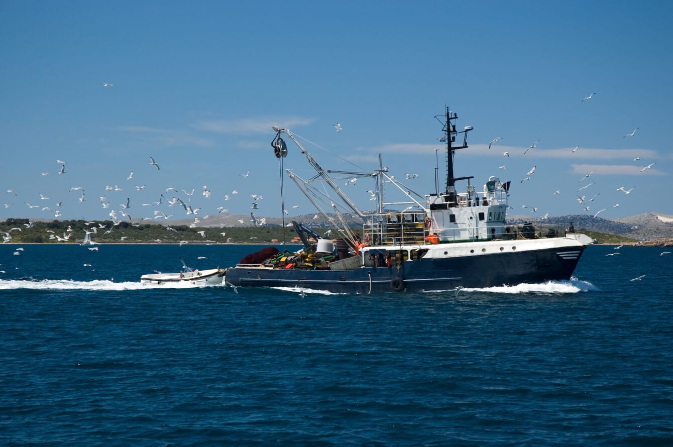A fishing vessel with seagulls near a port on a sunny day.