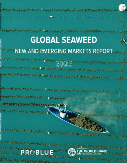 Front cover of a World Bank Report