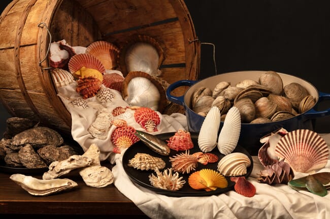 a selection of shellfish in a museum display case