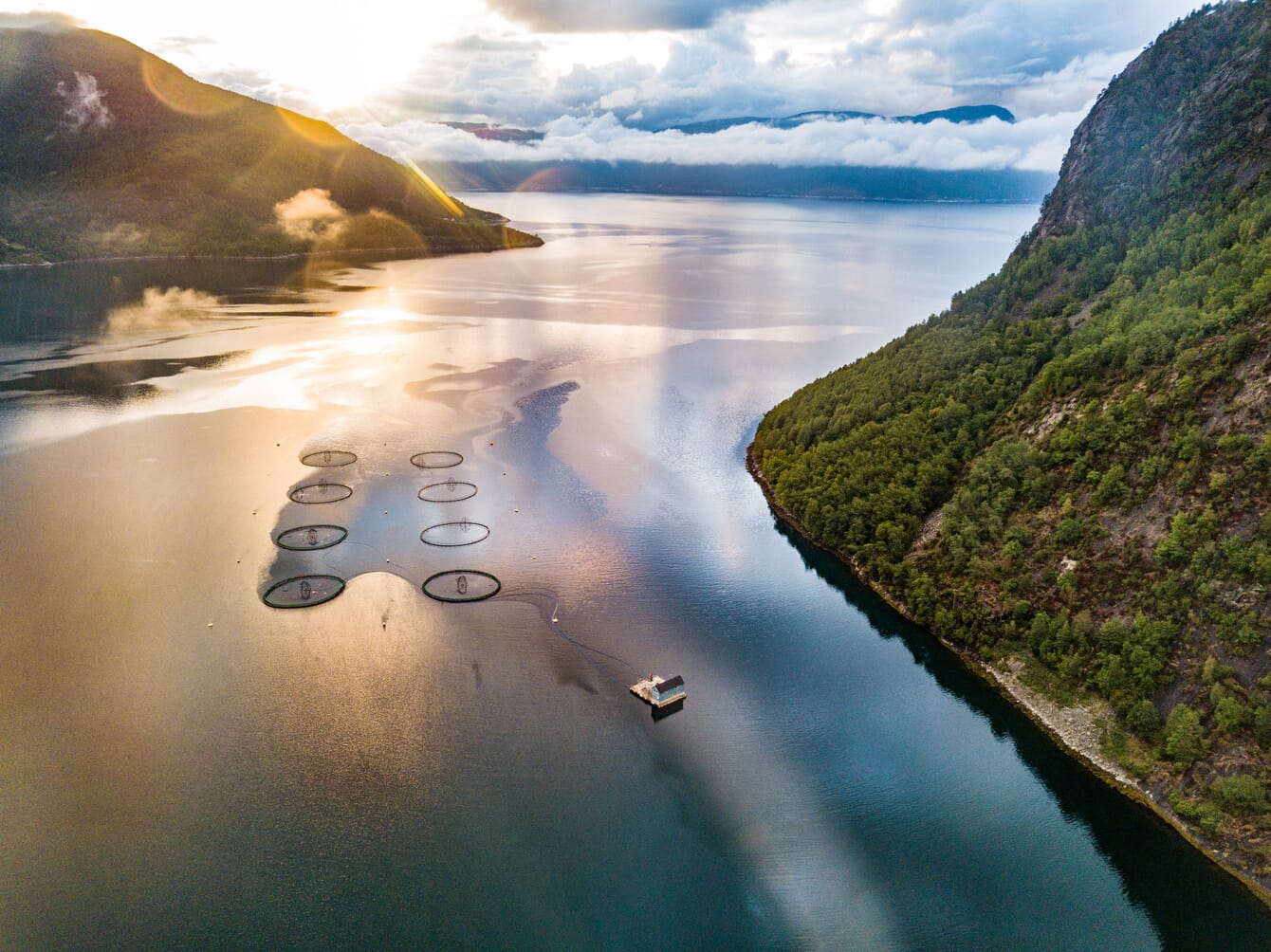 Aerial view of salmon pens in a narrow fjord.