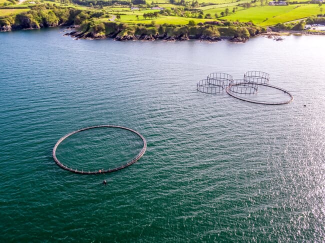 A net pen fish farm in Ireland