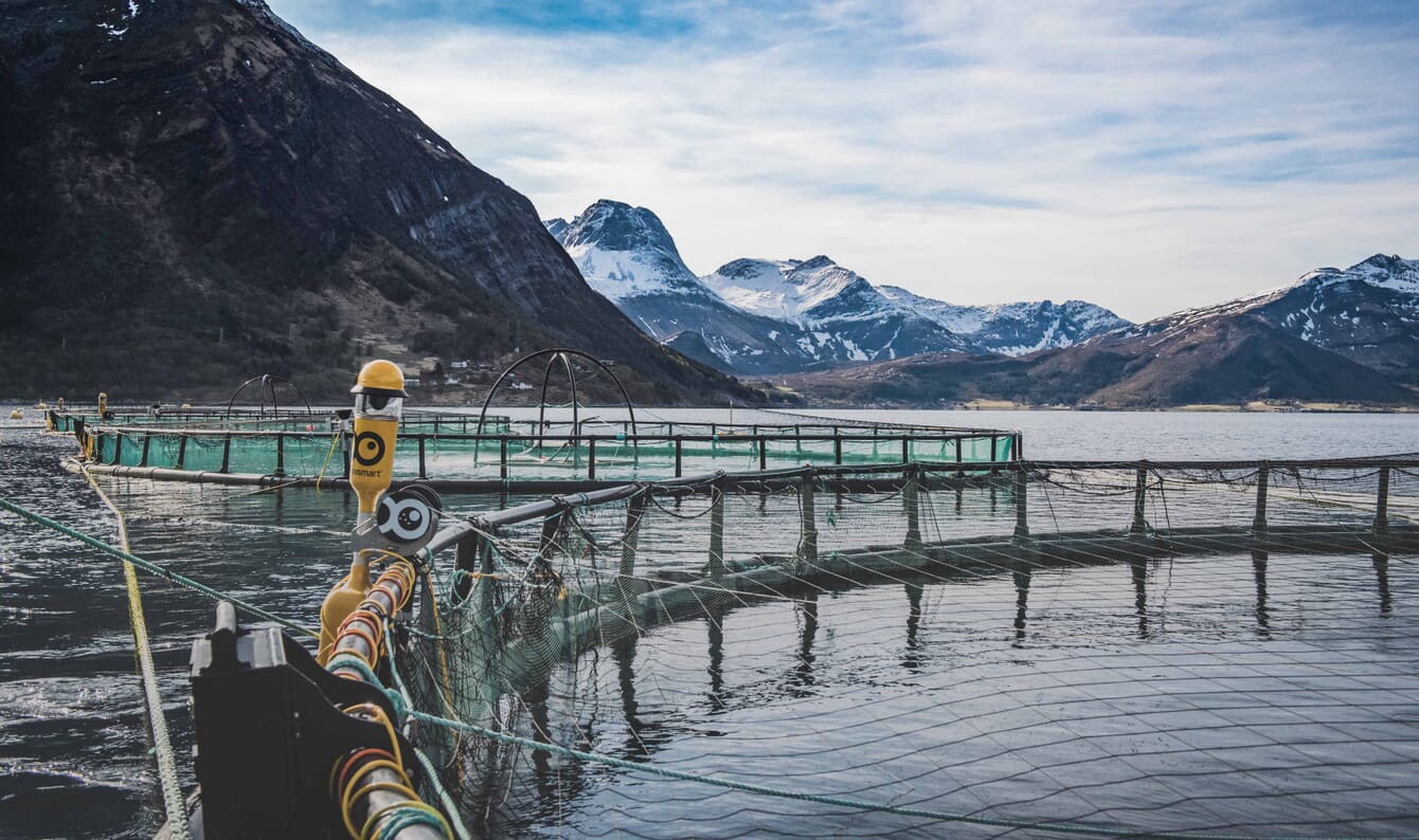 Open net salmon pens in Arctic Circle