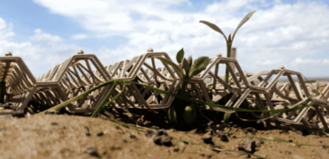 structures designed to improve mangrove restoration