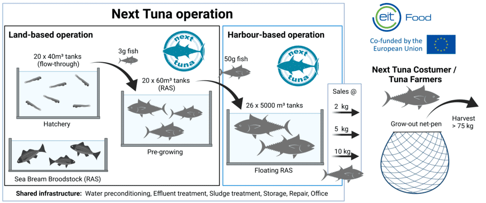 Could an innovative, floating RAS catalyse Atlantic bluefin tuna ...