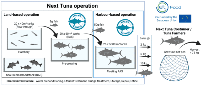 Next Tuna infographic