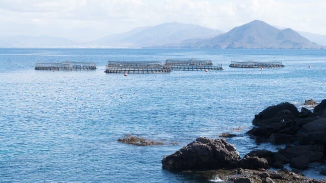 Rocks in foreground, with six ocean fish pens in the water and mountains in the far background.