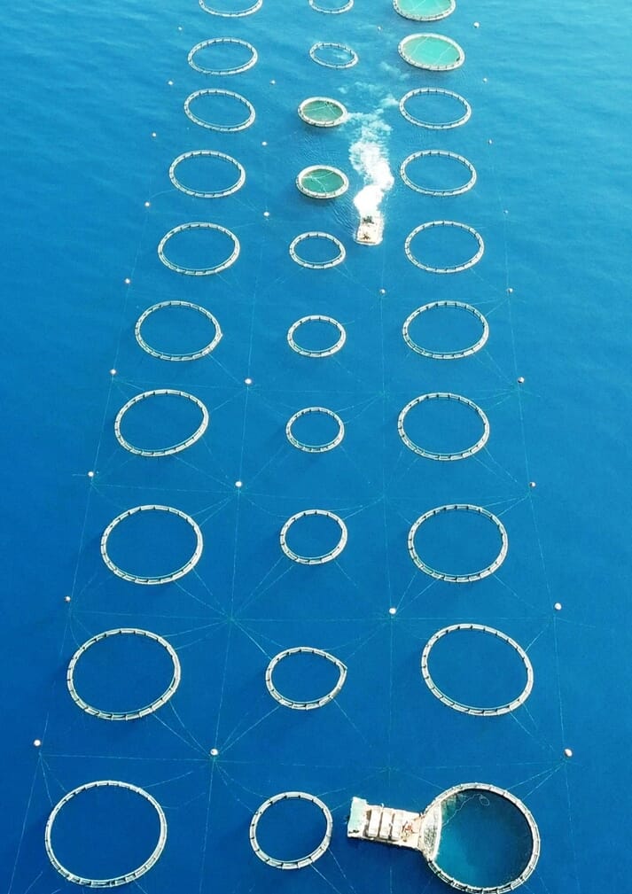 aerial view of sea cages