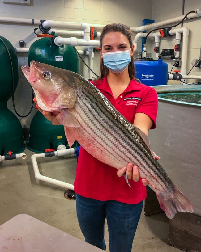 woman holding a fish