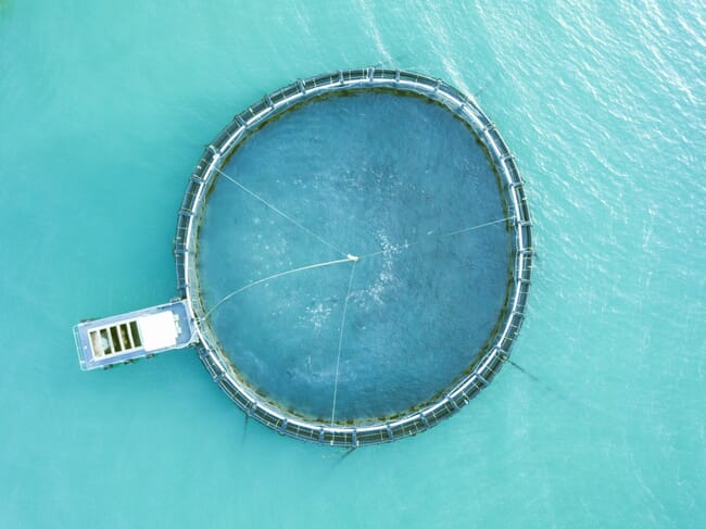 Aerial view of a fish cage