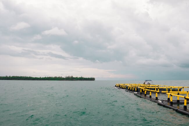 Fish cages in the sea.