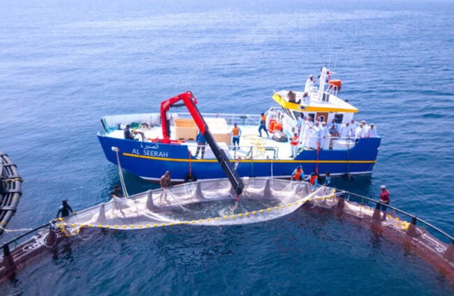 boat coming up to a net pen