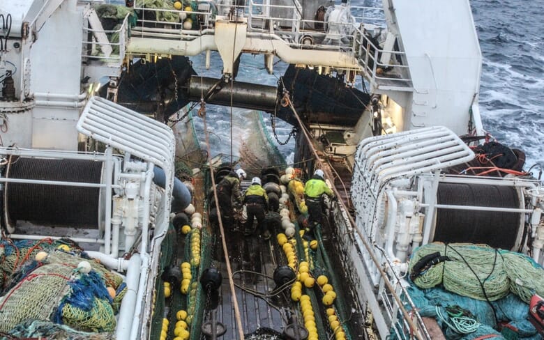 Fish fingerlings: purchasing, transporting and stocking | The Fish Site