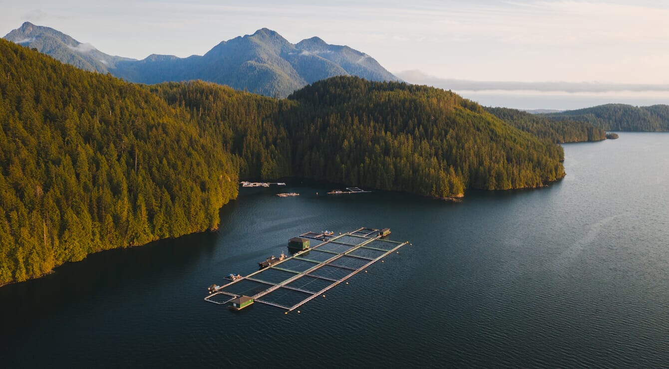 Aerial view of net pens