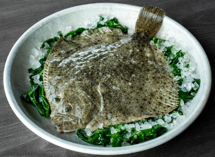 turbot on a plate
