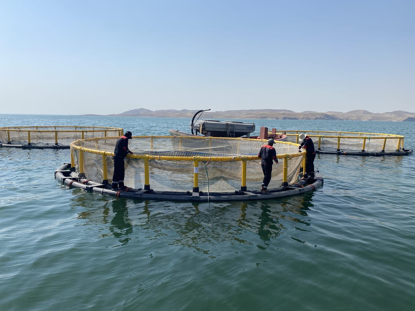 Fish farm cages on a large lake.