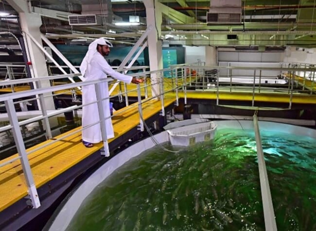 Bader bin Mukarak at an indoor RAS unit