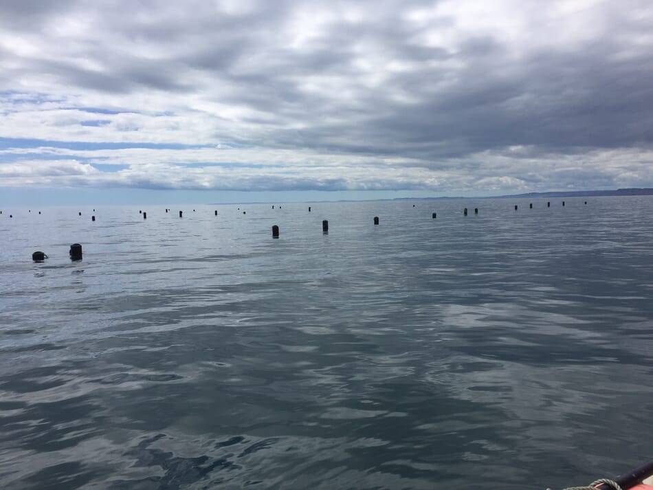 Can US aquaculture capitalise on “a tear in the matrix”? | The Fish Site